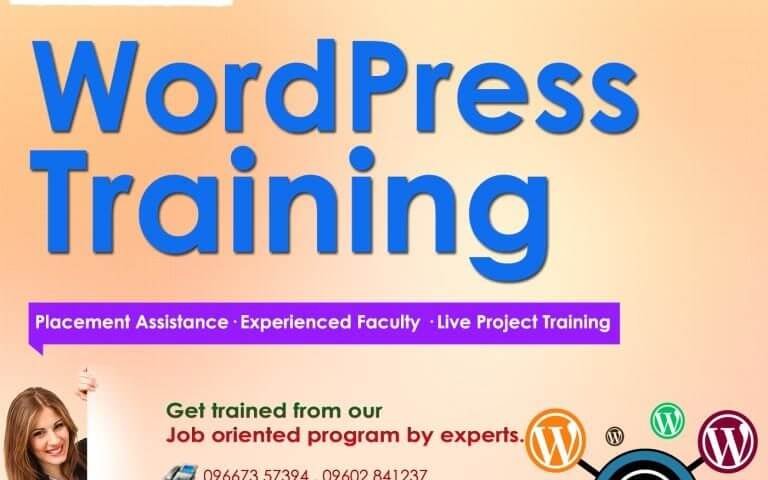 CMS-Wordpress-Training-in-Udaipur